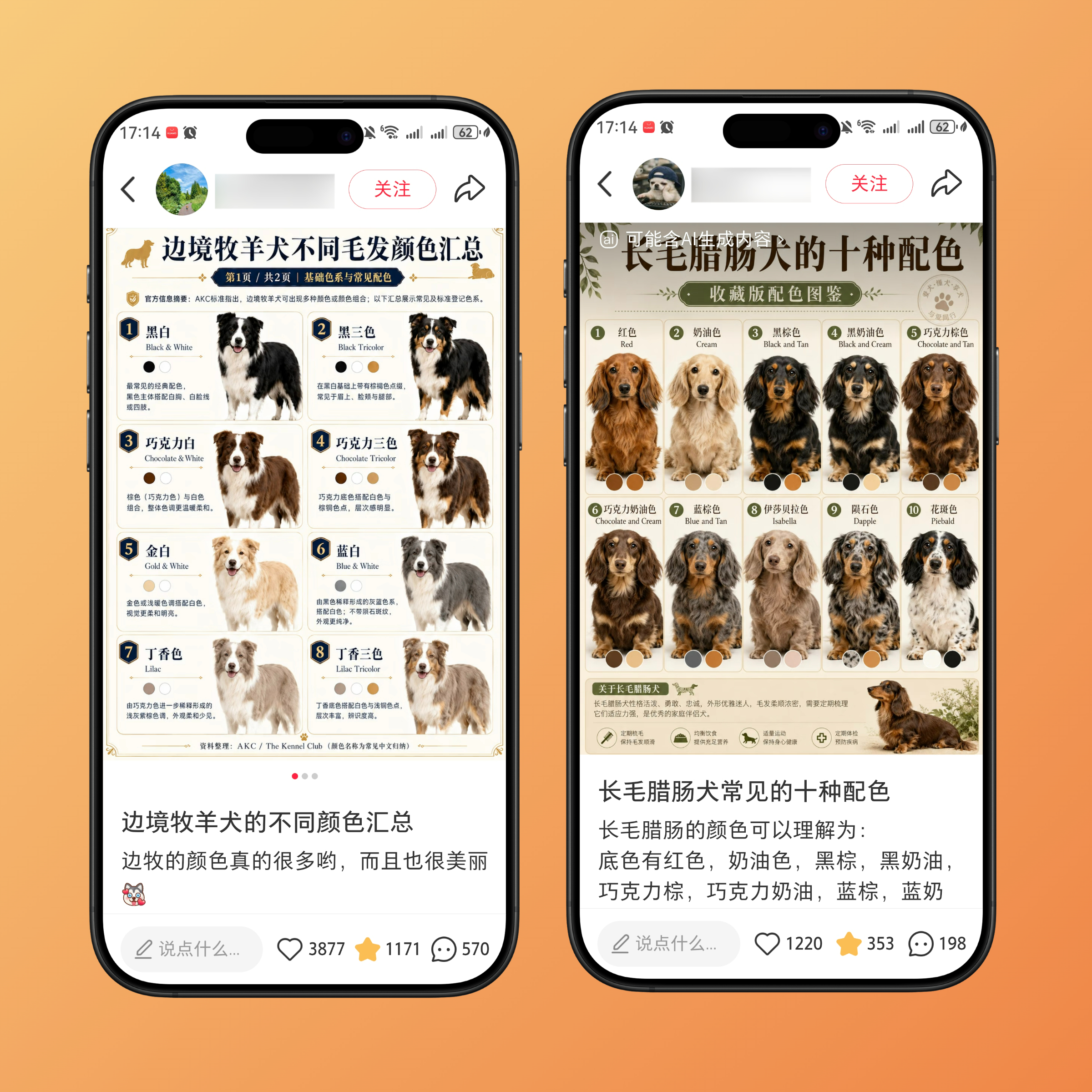 图片[6]-小红书爆图大师商用卡密 - 87副业网-87副业网